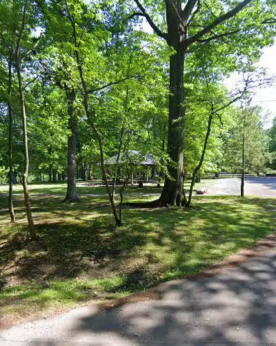 Hawk Shelter - Rochester, NY