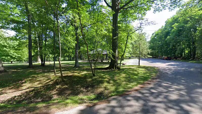 Hawk Shelter - Rochester, NY