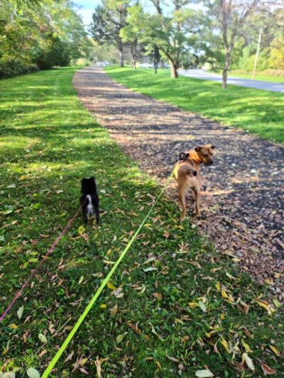 Henpeck Park - Rochester, NY