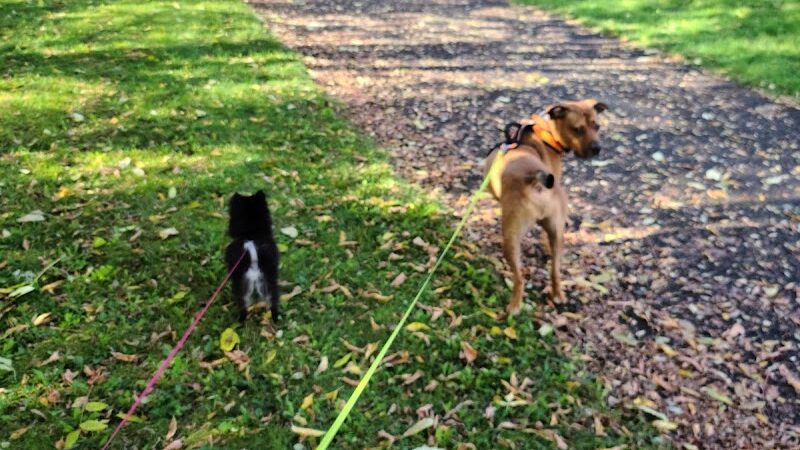 Henpeck Park - Rochester, NY