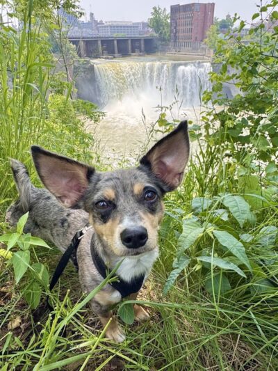 High Falls Terrace Platform - Rochester, NY