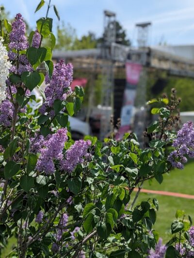 Highland Park - Rochester, NY