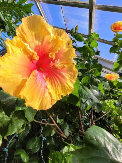 Highland Park - Rochester, NY