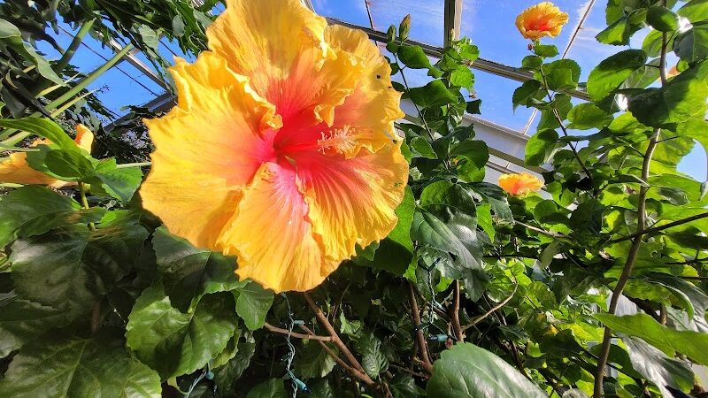 Highland Park - Rochester, NY