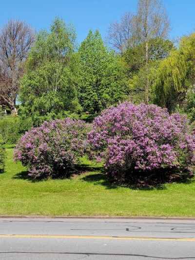 Highland Park - Rochester, NY