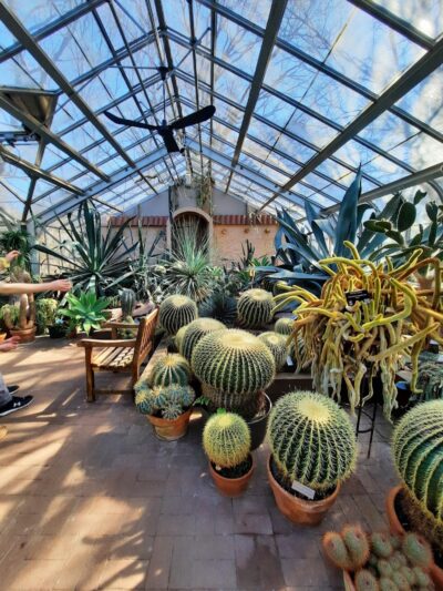 Highland Park - Rochester, NY