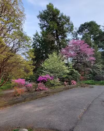 Highland Park - Rochester, NY