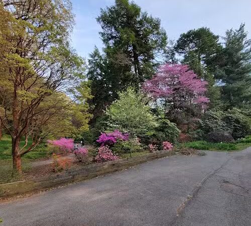 Highland Park - Rochester, NY