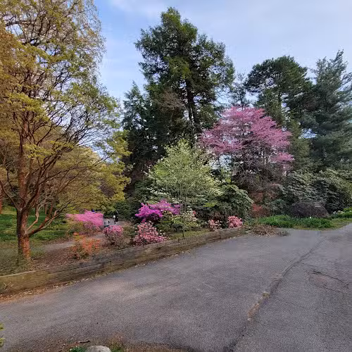 Highland Park - Rochester, NY