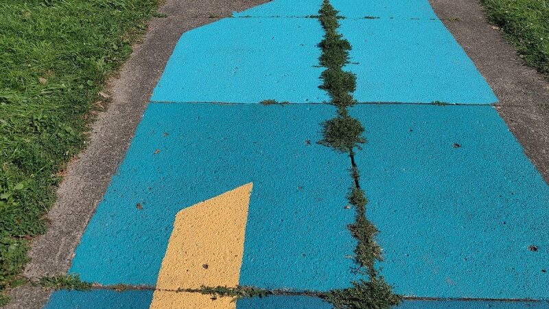 Jones Square Park - Rochester, NY