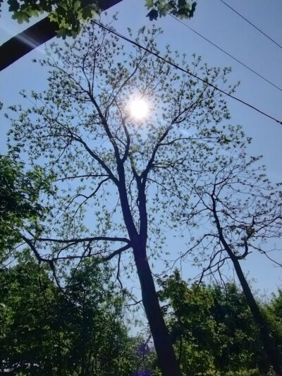 JR Wilson Park - Rochester, NY