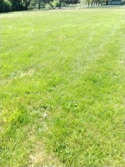 JR Wilson Park - Rochester, NY