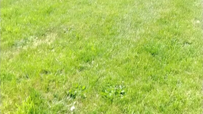 JR Wilson Park - Rochester, NY