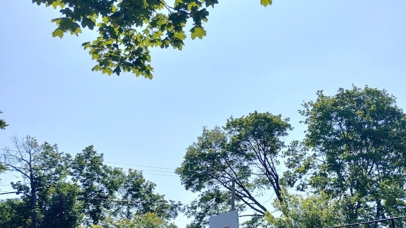 JR Wilson Park - Rochester, NY