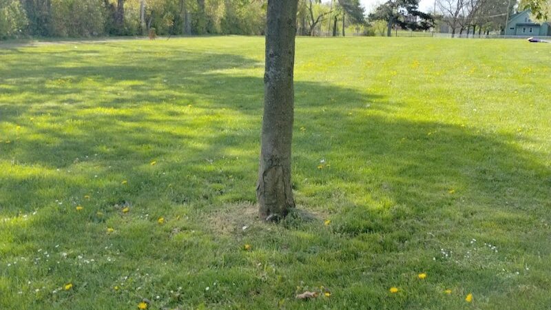 JR Wilson Park - Rochester, NY