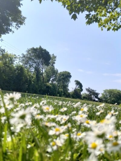 JR Wilson Park - Rochester, NY