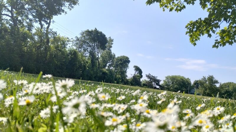JR Wilson Park - Rochester, NY