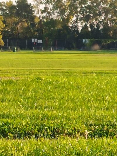 La Grange Park - Rochester, NY