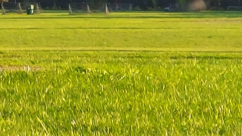 La Grange Park - Rochester, NY