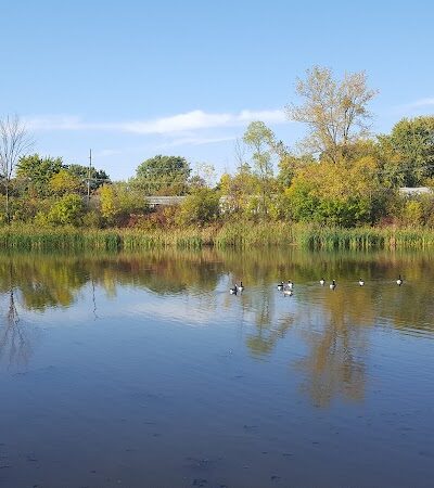 Lions Park - Rochester, NY