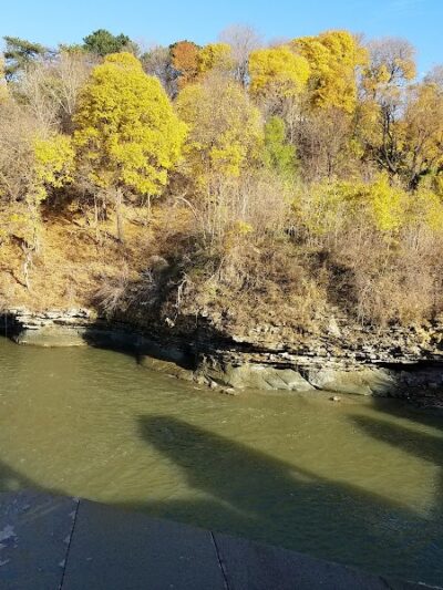 Lower Falls Park - Rochester, NY