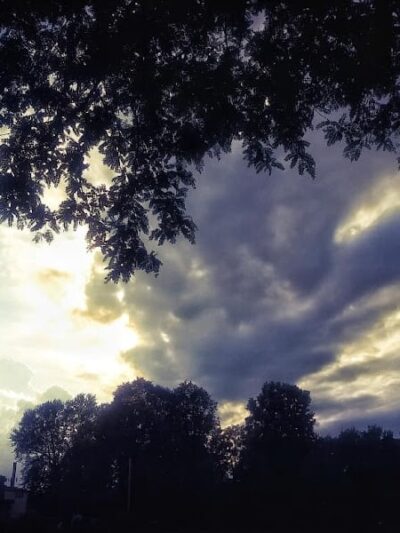 Lunsford Circle Park - Rochester, NY