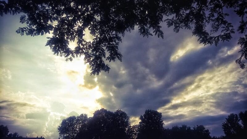Lunsford Circle Park - Rochester, NY