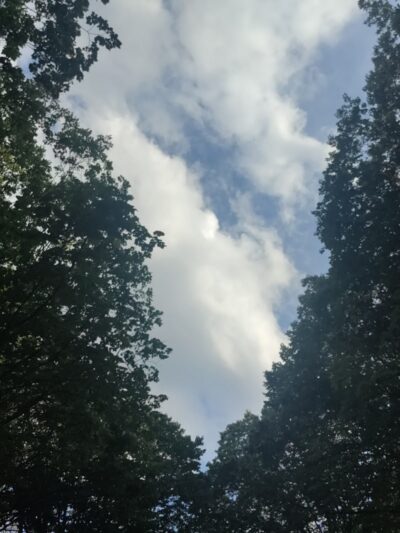 Lunsford Circle Park - Rochester, NY