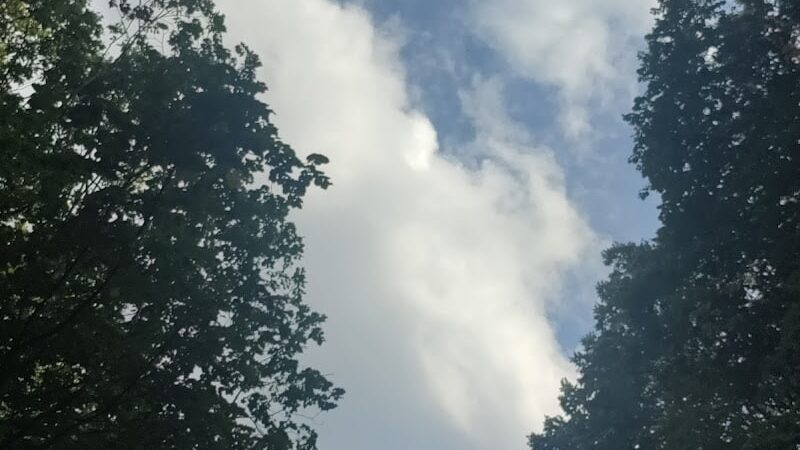 Lunsford Circle Park - Rochester, NY