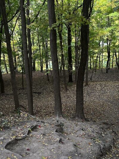 Maplewood Park - Rochester, NY