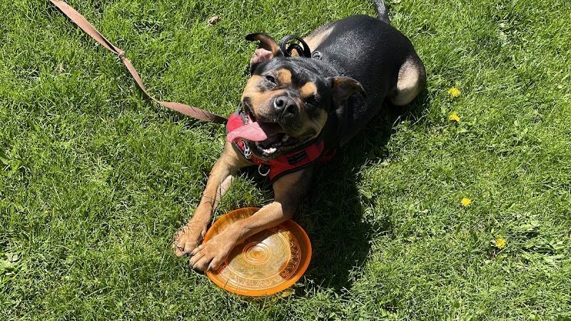Marie Daley Park - Rochester, NY