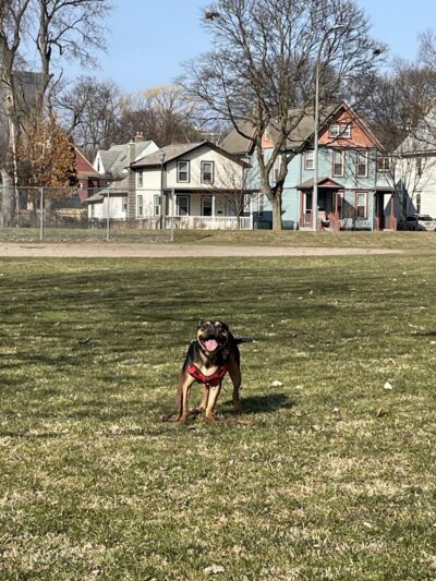 Marie Daley Park - Rochester, NY