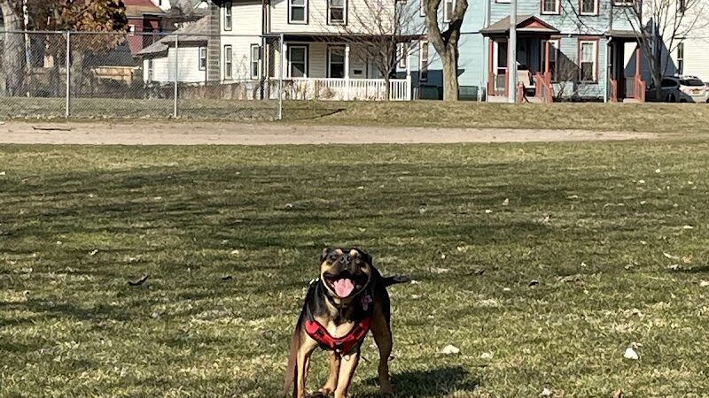 Marie Daley Park - Rochester, NY
