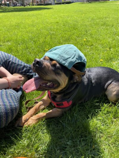 Marie Daley Park - Rochester, NY