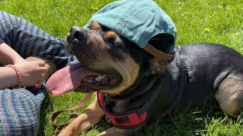 Marie Daley Park - Rochester, NY