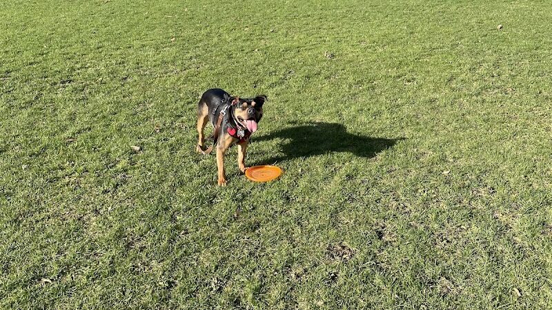 Marie Daley Park - Rochester, NY