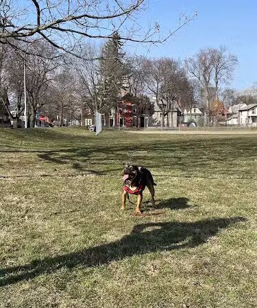 Marie Daley Park - Rochester, NY