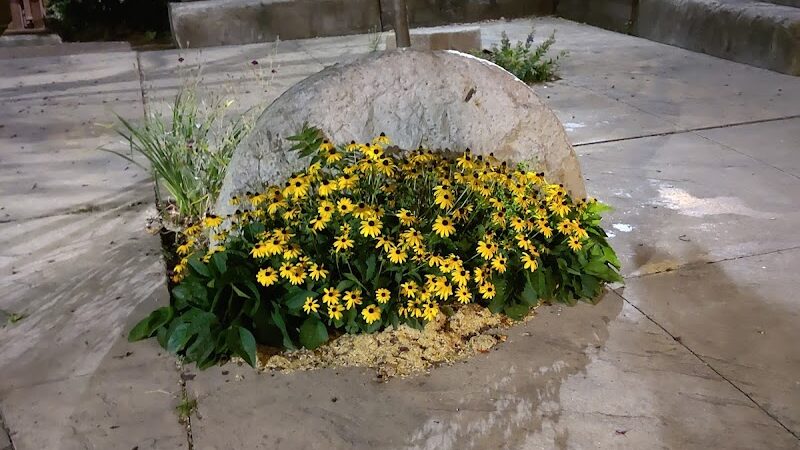 Nathaniel Square Park - Rochester, NY