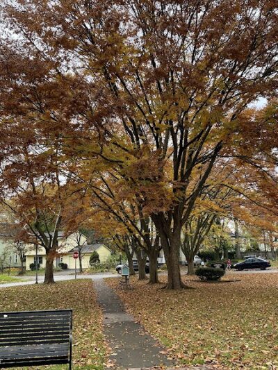 Otto Henderberg Park - Rochester, NY