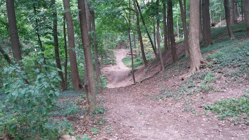 Otto Henderberg Park - Rochester, NY