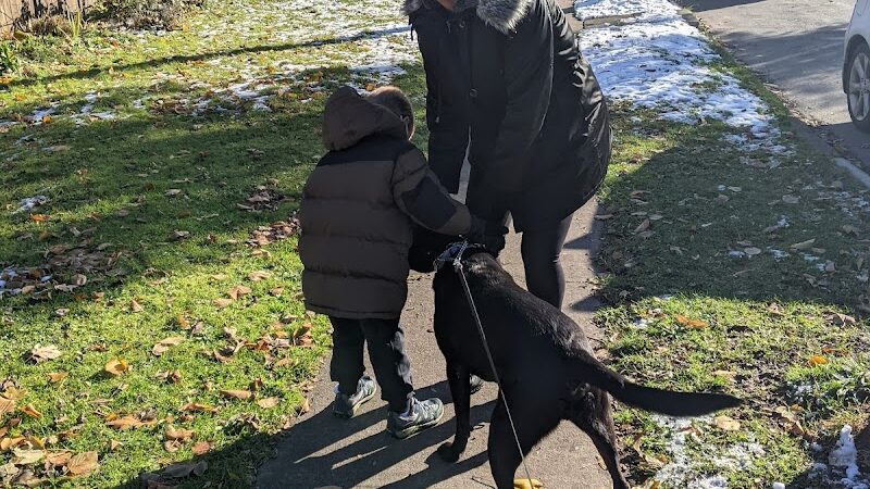 Otto Henderberg Park - Rochester, NY