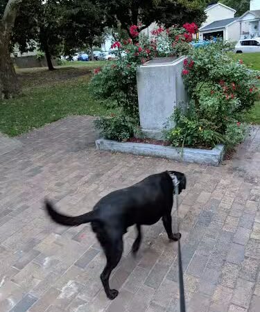 Otto Henderberg Park - Rochester, NY