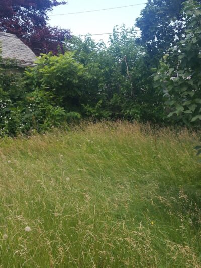 Pappas Park - Rochester, NY