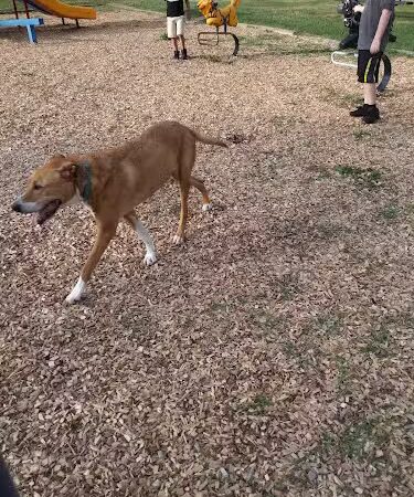 Pappas Park - Rochester, NY