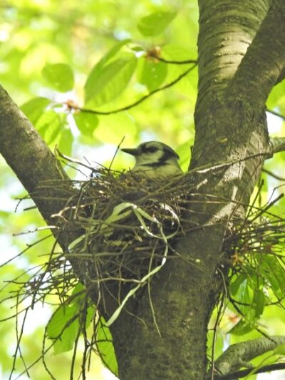 Pinnacle Hill Trail - Rochester, NY