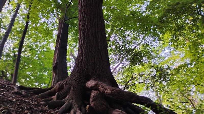Pinnacle Hill Trail - Rochester, NY