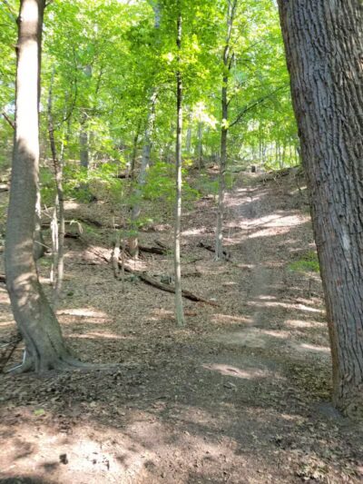 Pinnacle Hill Trail - Rochester, NY