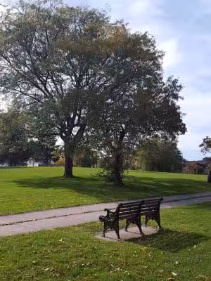 Pulaski Park - Rochester, NY