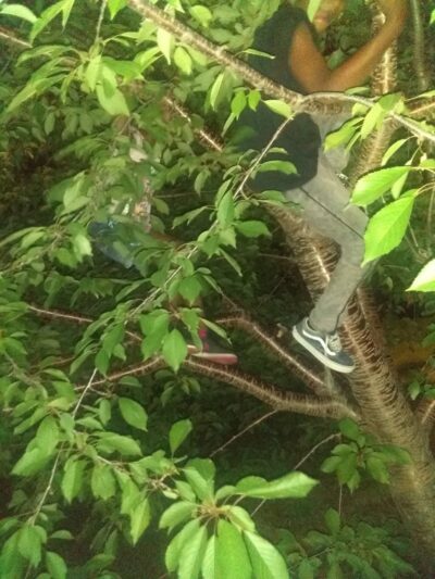 Pulaski Park - Rochester, NY