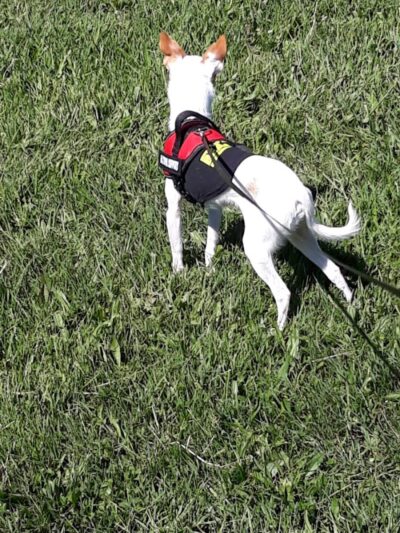 Pulaski Park - Rochester, NY